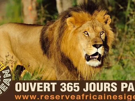 Сasa de vacaciones Maison De Village - Standing - Centre Historique